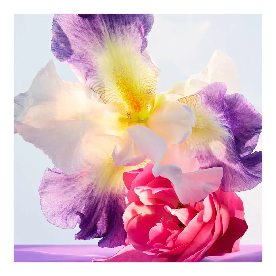 Bvlgari Omnia Amethyste Eau de Toilette Feminino 100ml — foto 4